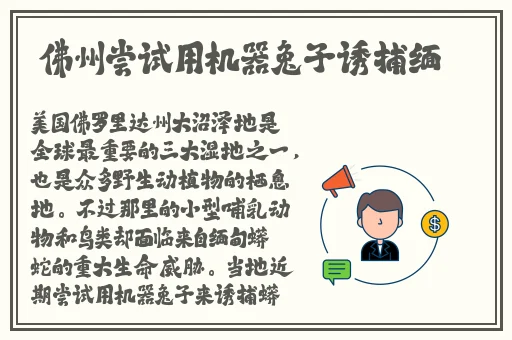 暴躁妹妹csgo独特玩法揭秘